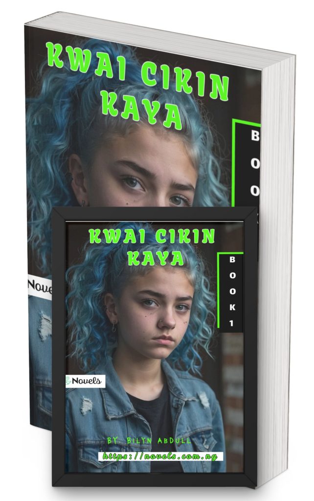 Kwai Cikin Kaya Chapter 3 Cover