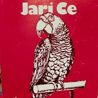 Magana Jarice littafi na daya