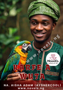 Karfe a wuta Hausa Novels