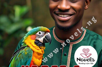 Karfe a wuta Hausa Novels