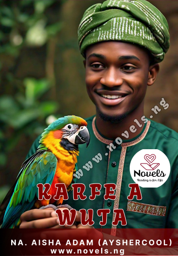 Karfe a wuta Hausa Novels