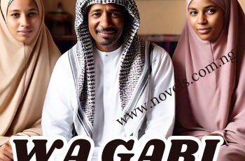 Wa gari ya waya
